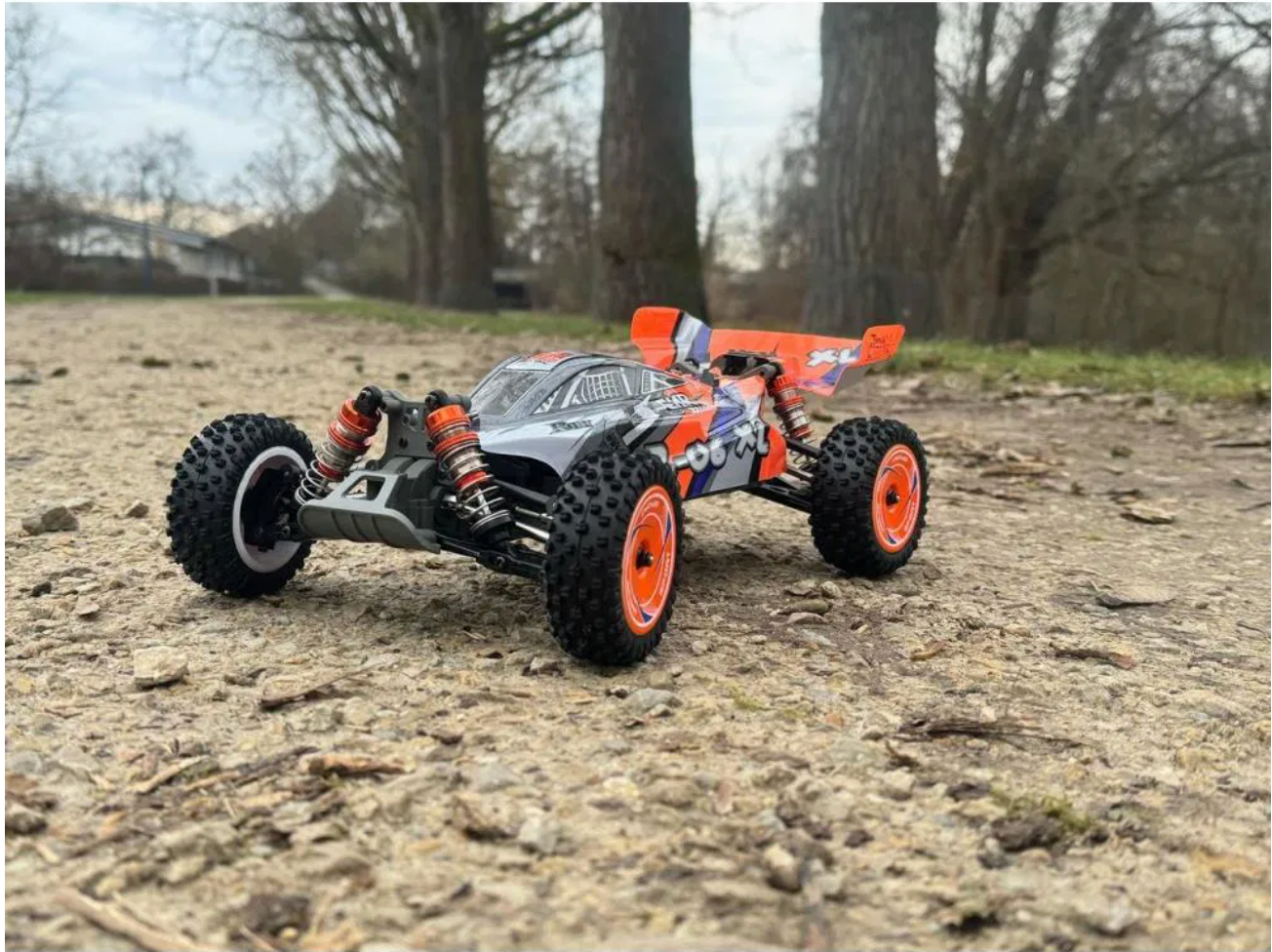 BUGGY Z-06 XL